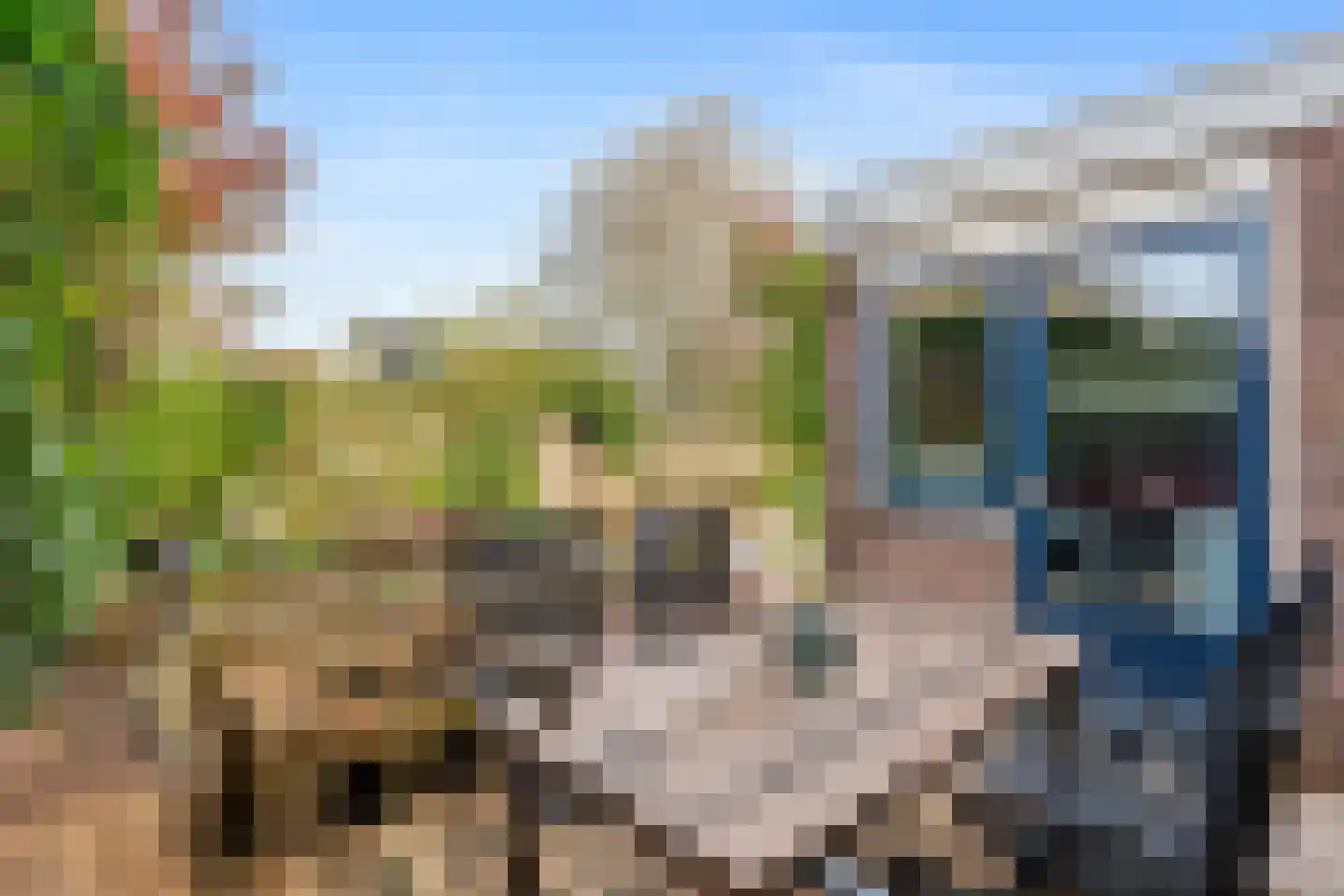 Vrijdal 51 Groningen thumbnail 32