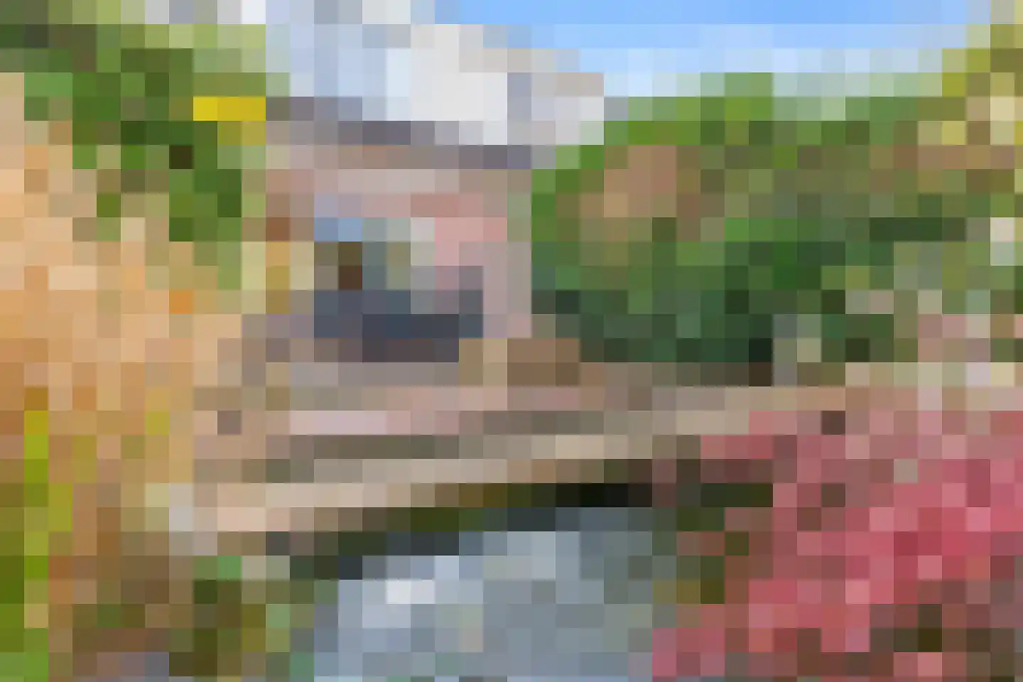 Vrijdal 51 Groningen thumbnail 34