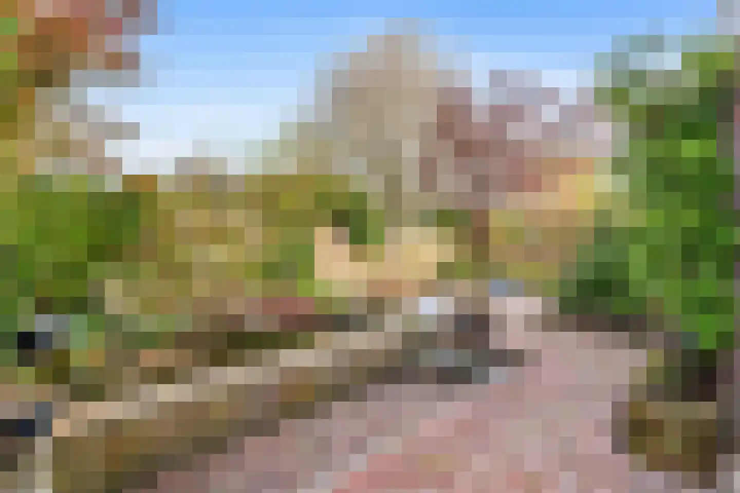 Vrijdal 51 Groningen thumbnail 35