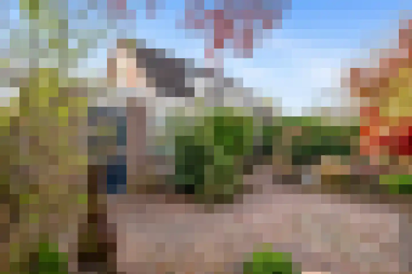 Vrijdal 51 Groningen thumbnail 5