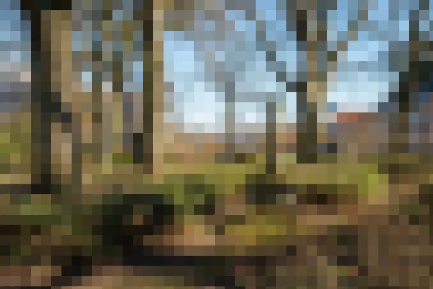 Vrijdomweg 12 Vlissingen thumbnail 37