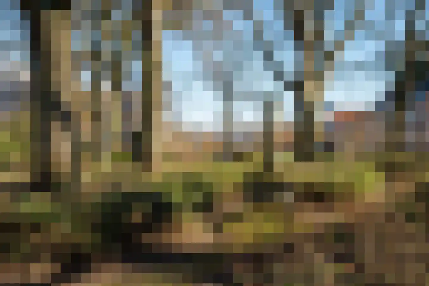 Vrijdomweg 12 Vlissingen thumbnail 36
