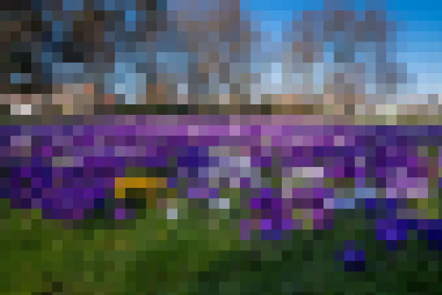Vrijdomweg 12 Vlissingen thumbnail 41