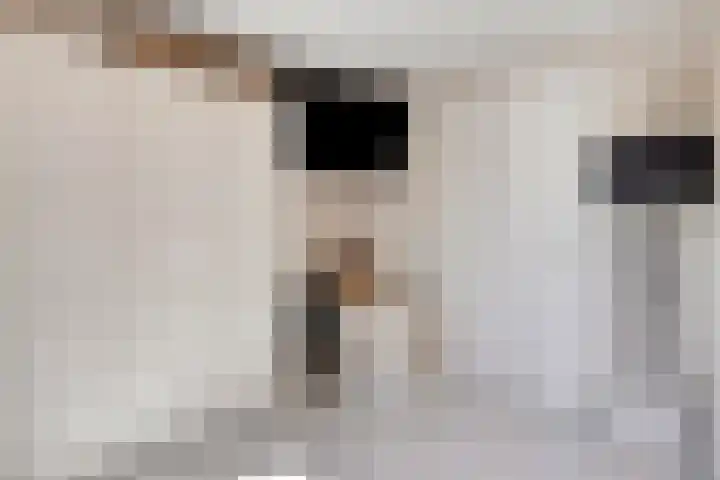 Vrije 10 Zierikzee thumbnail 22