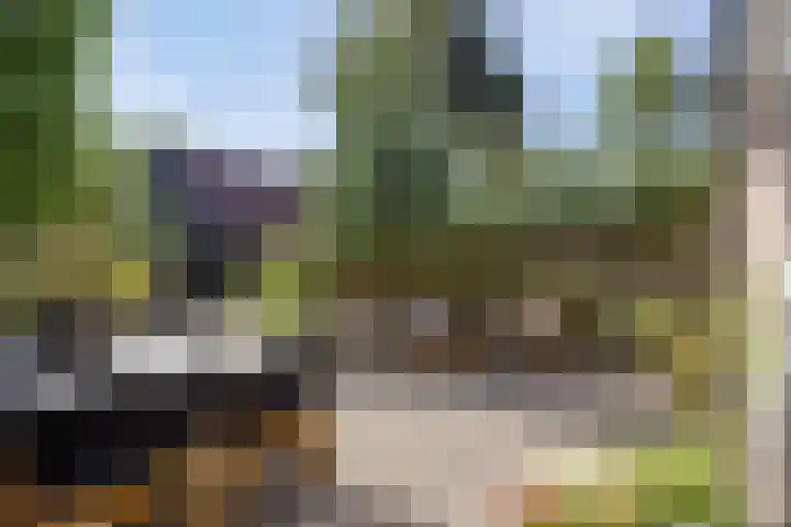Vrije 10 Zierikzee thumbnail 29