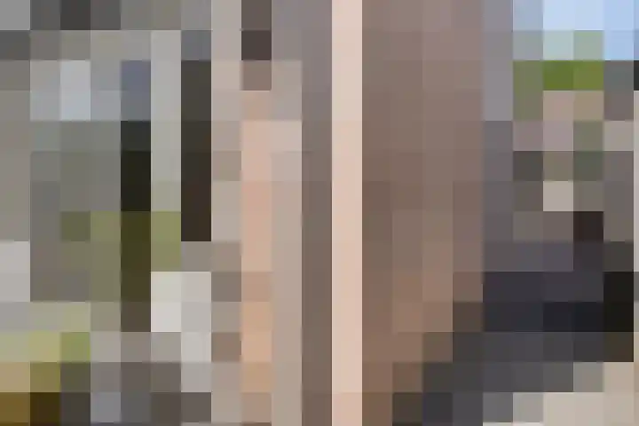 Vrije 10 Zierikzee thumbnail 30
