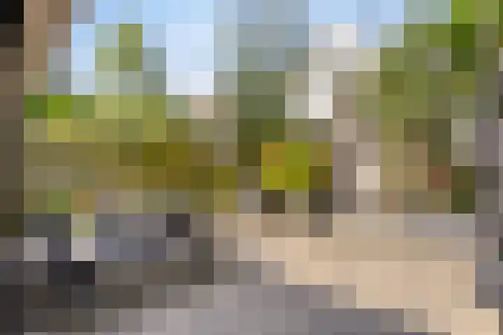 Vrije 10 Zierikzee thumbnail 32
