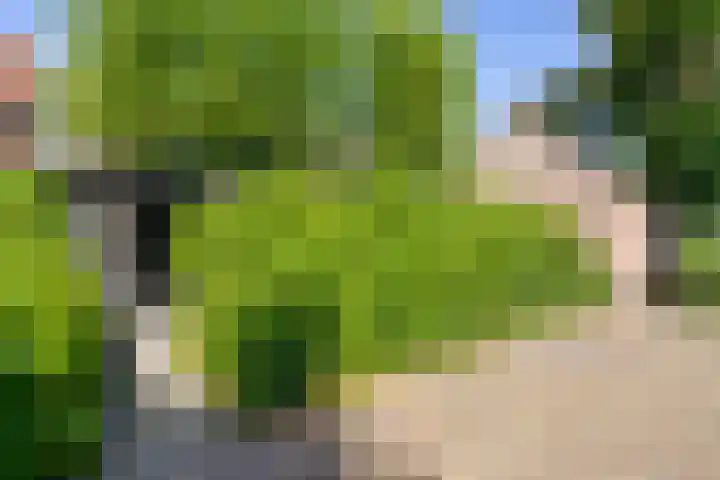 Vrije 10 Zierikzee thumbnail 34