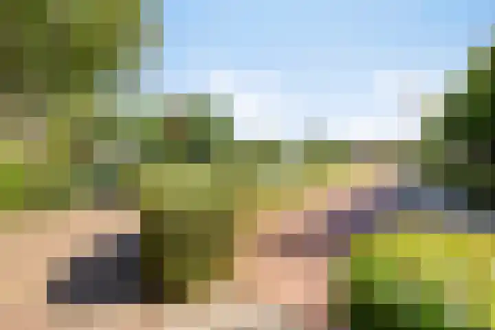 Vrije 10 Zierikzee thumbnail 35
