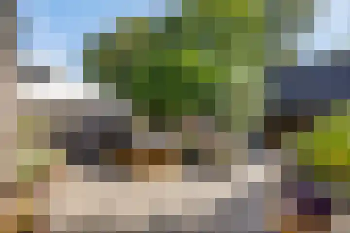 Vrije 10 Zierikzee thumbnail 4