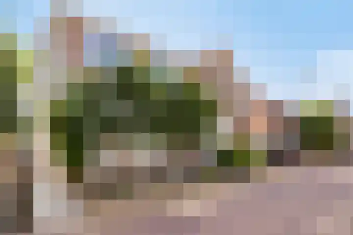 Vrije 10 Zierikzee thumbnail 6