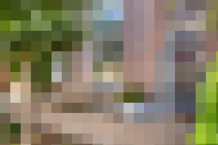 Vrije 10 Zierikzee thumbnail 7