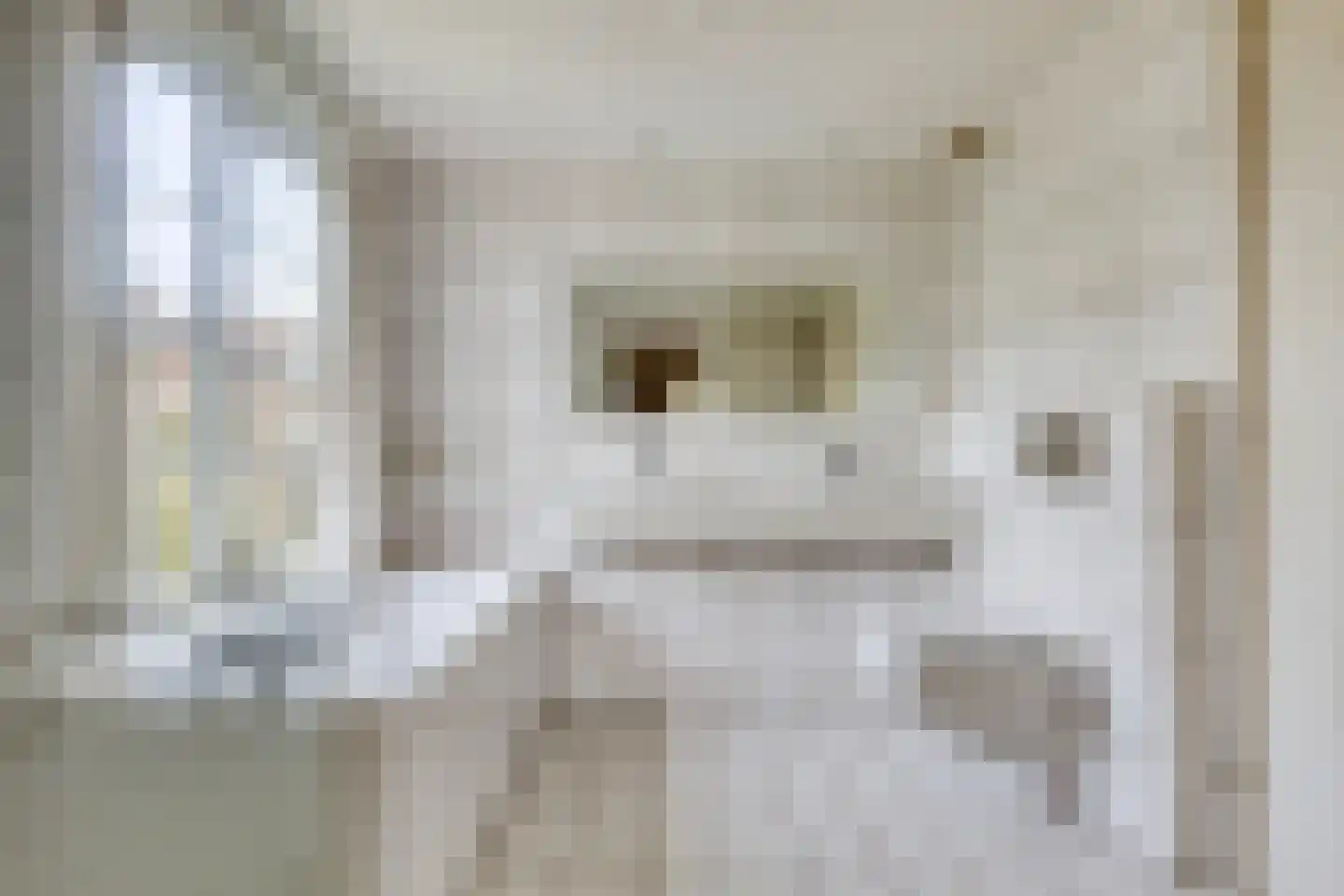 Vrije 42 Zierikzee thumbnail 30