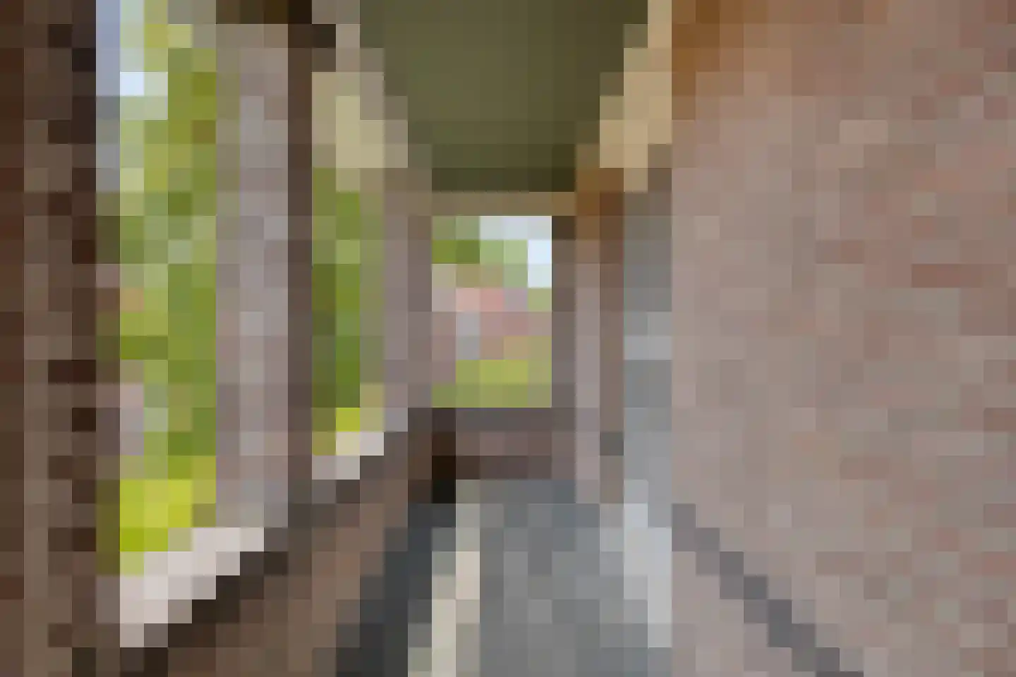 Vrije 42 Zierikzee thumbnail 35