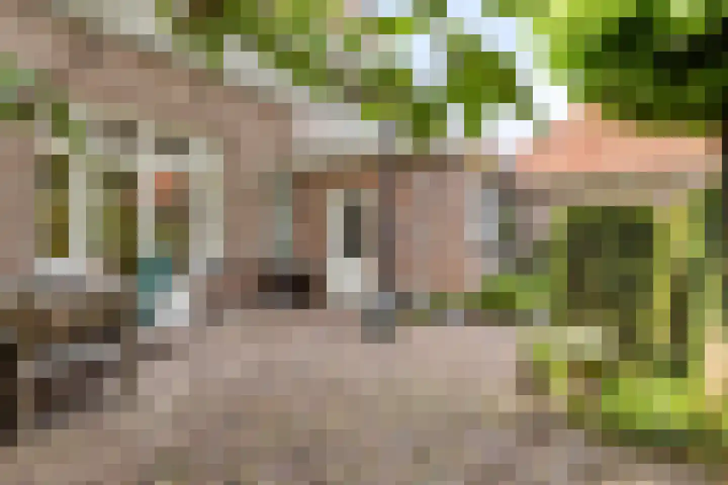 Vrije 42 Zierikzee thumbnail 51