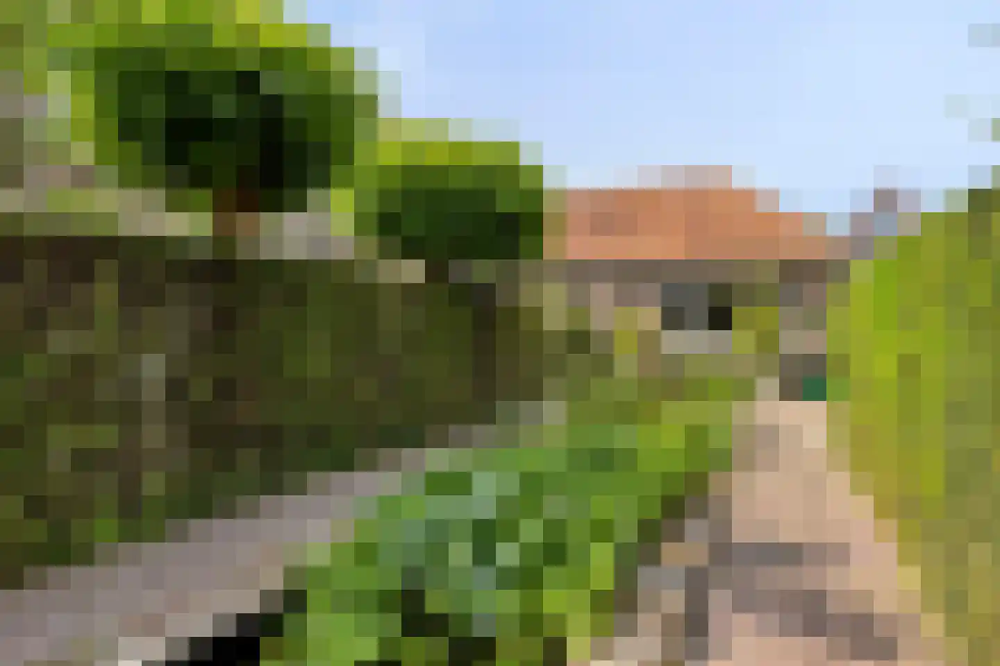 Vrije 42 Zierikzee thumbnail 54