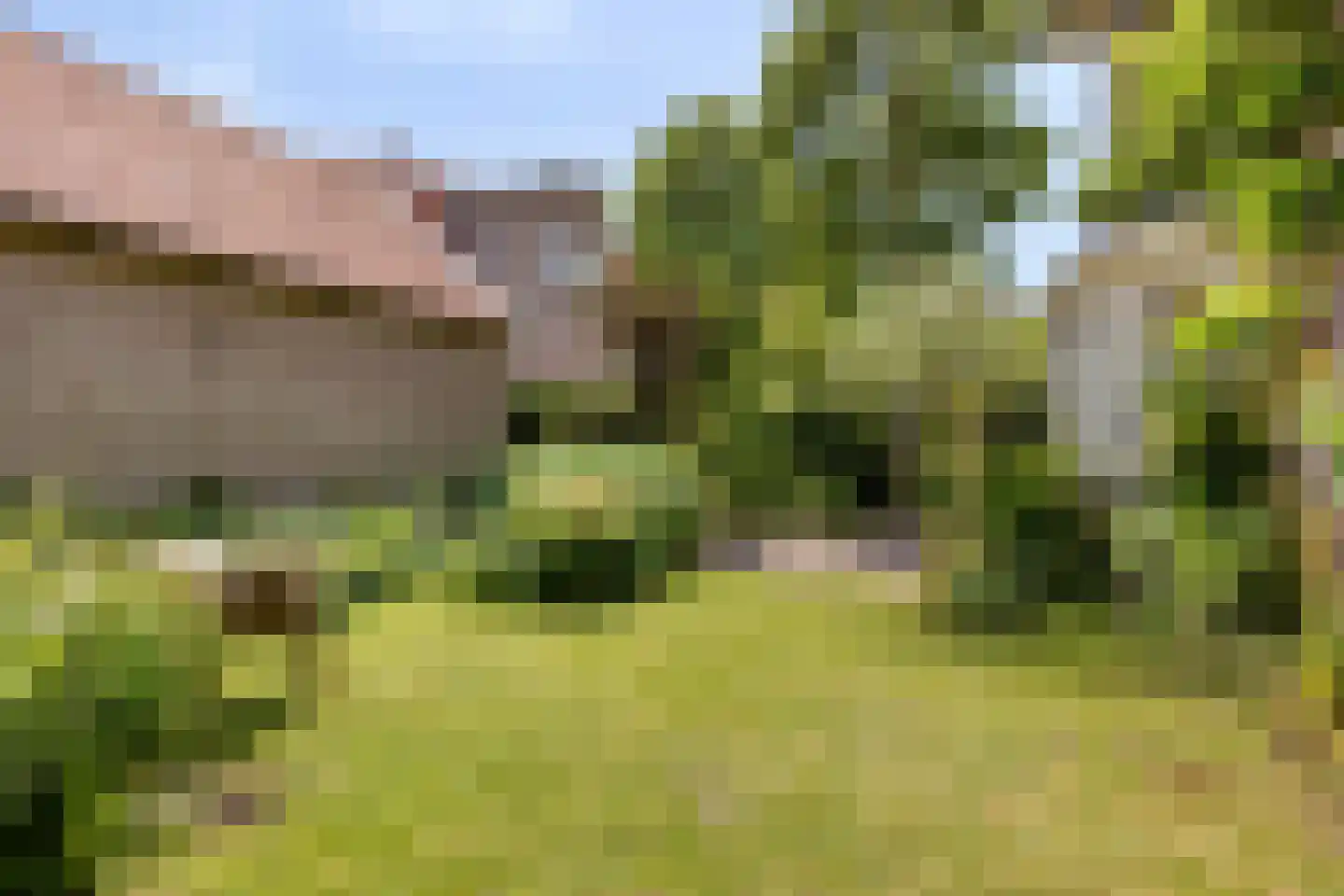 Vrije 42 Zierikzee thumbnail 56