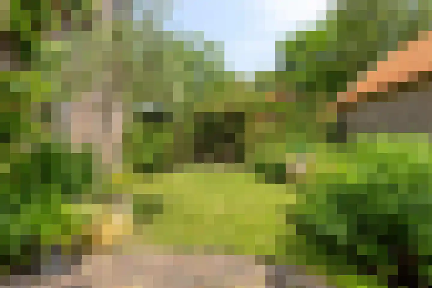 Vrije 42 Zierikzee thumbnail 57