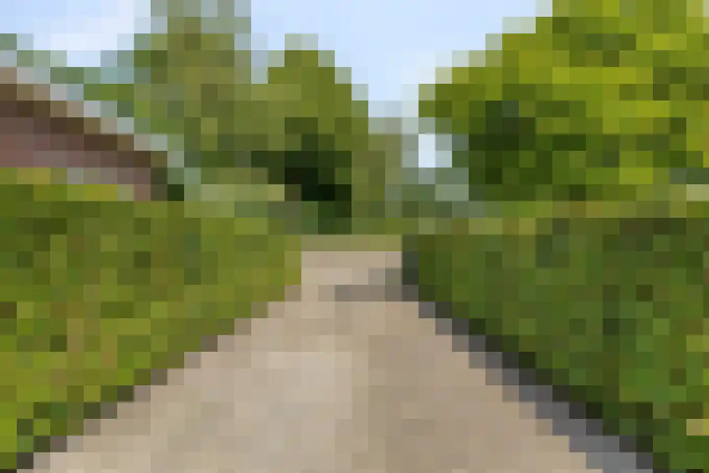 Vrije 42 Zierikzee thumbnail 58
