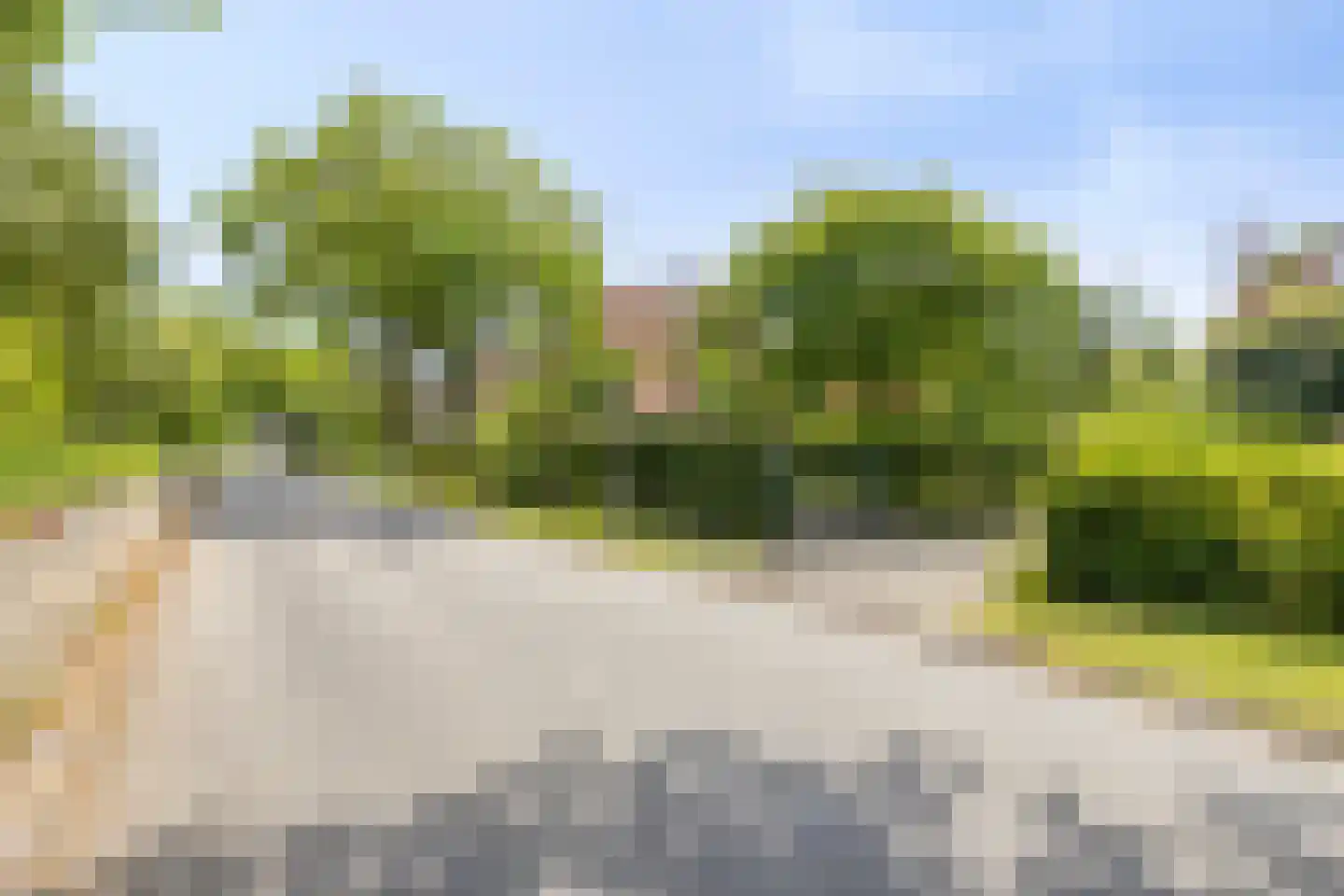 Vrije 42 Zierikzee thumbnail 60