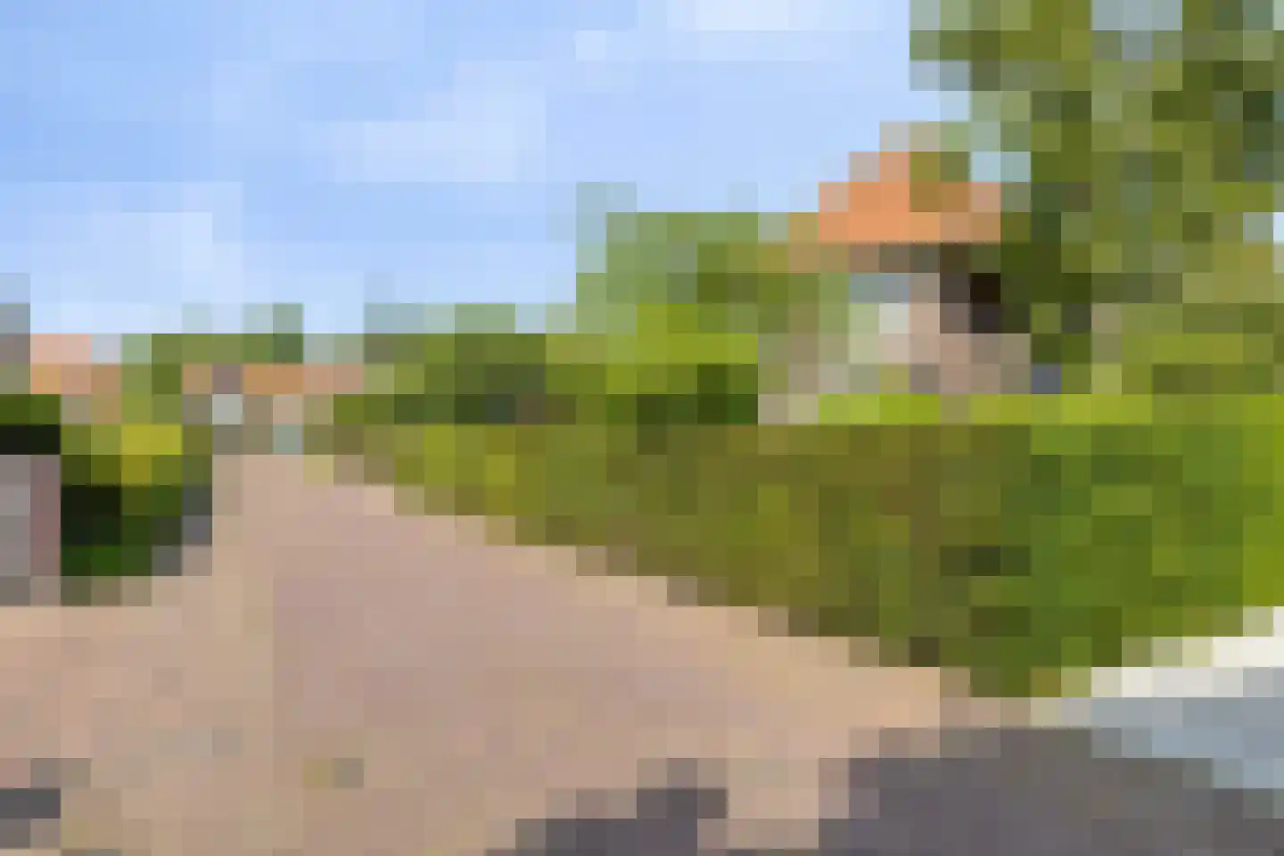 Vrije 42 Zierikzee thumbnail 65