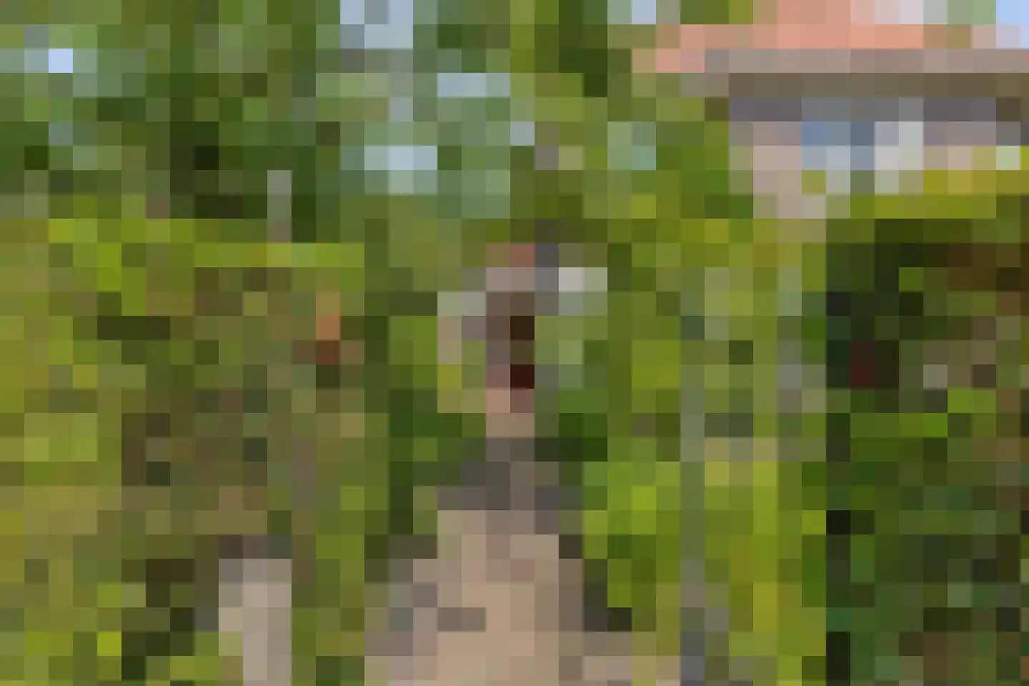 Vrije 42 Zierikzee thumbnail 66