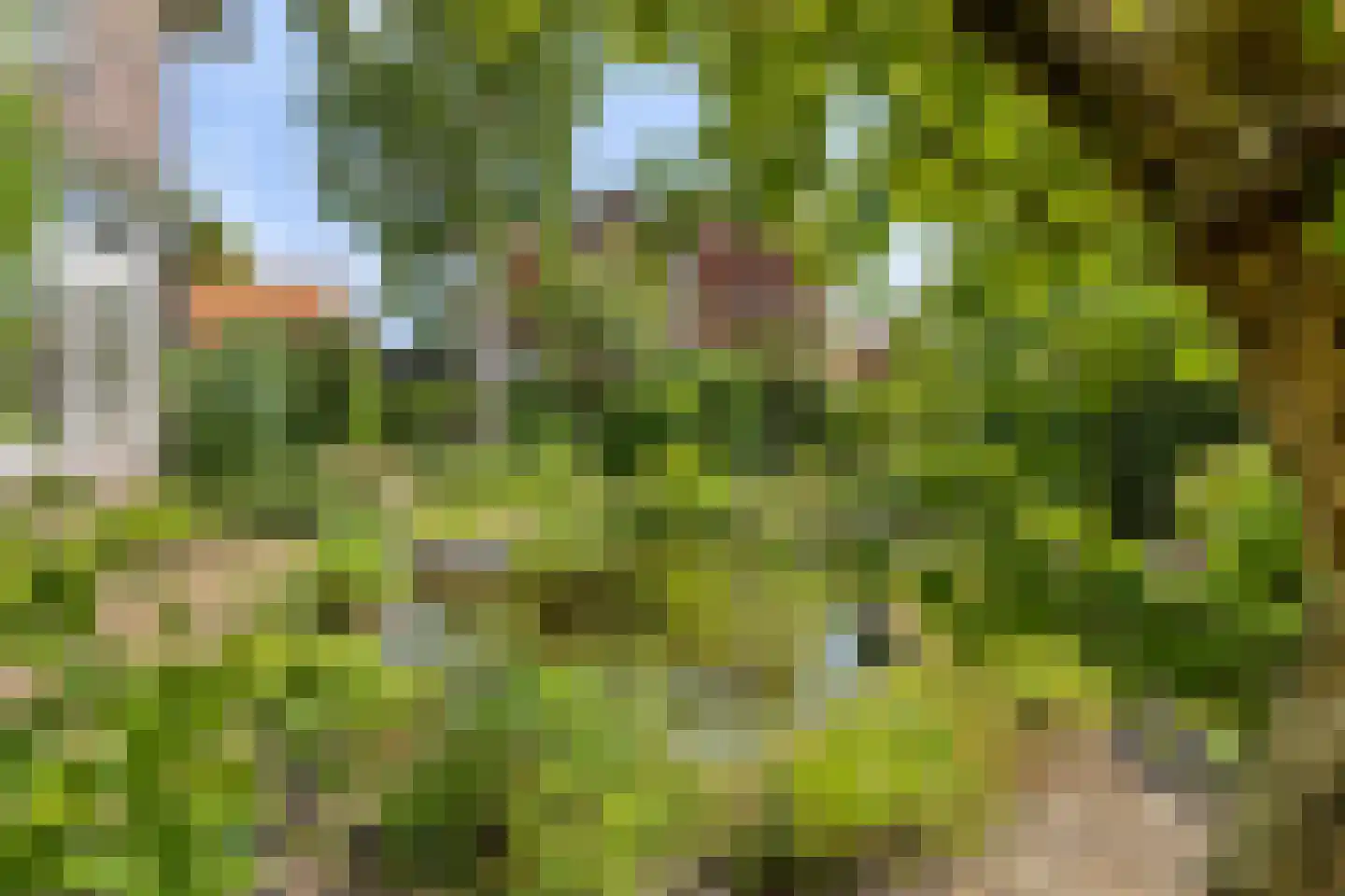 Vrije 42 Zierikzee thumbnail 67
