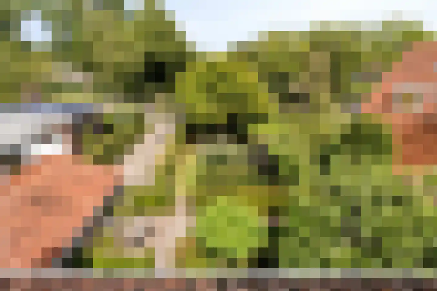 Vrije 42 Zierikzee thumbnail 69