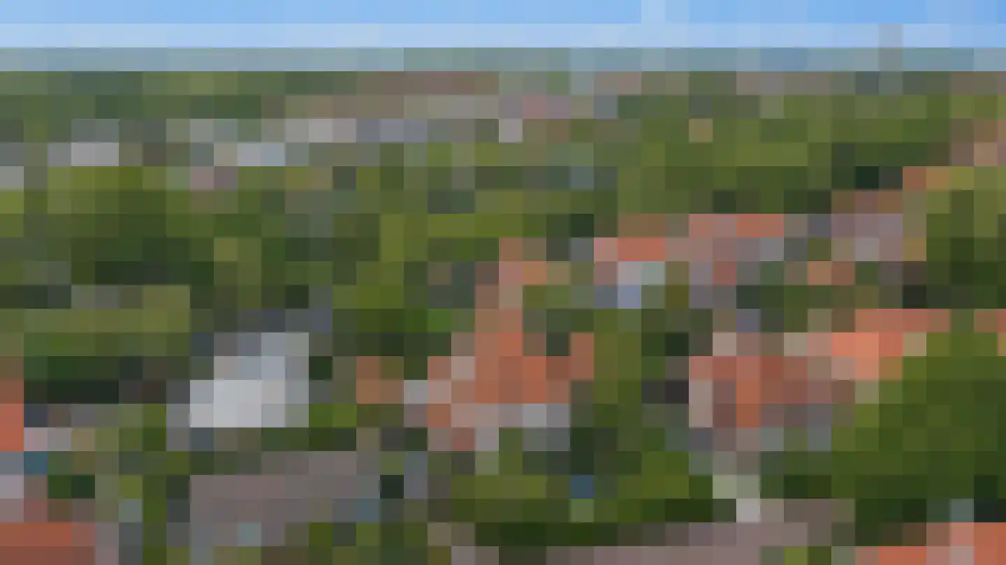 Vrije 42 Zierikzee thumbnail 72