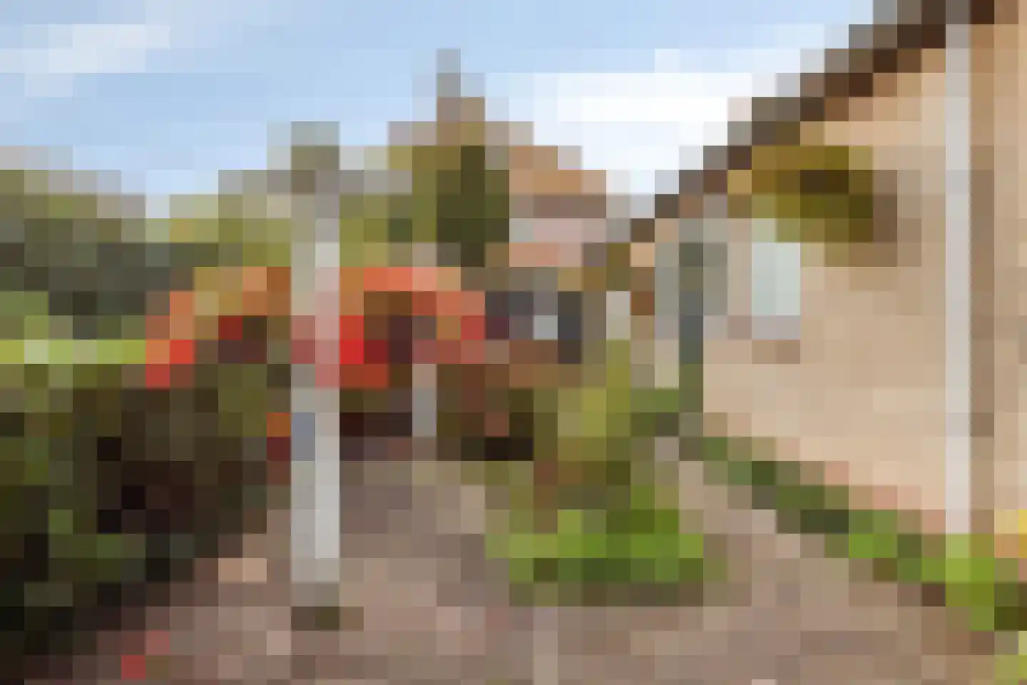 Vrije 44 Zierikzee thumbnail 25