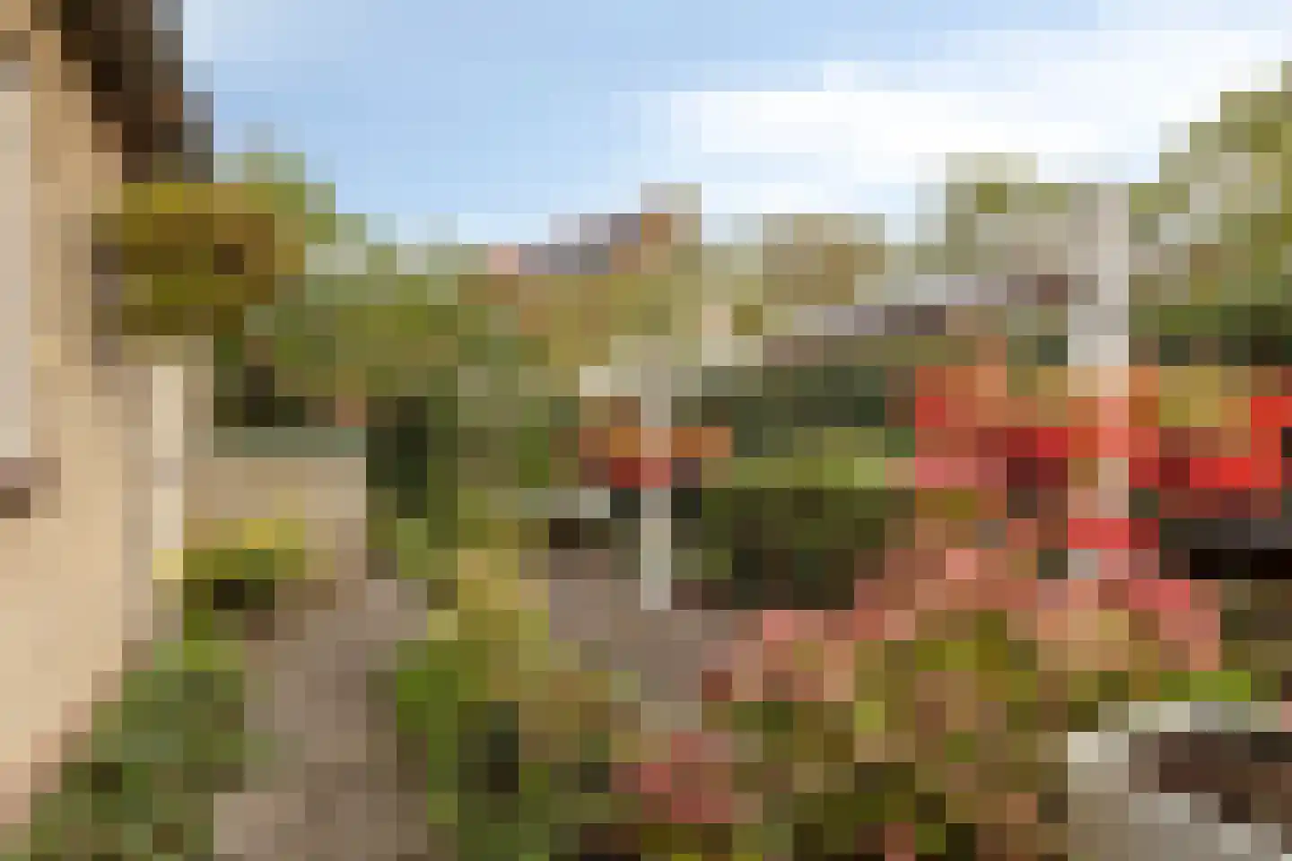 Vrije 44 Zierikzee thumbnail 27