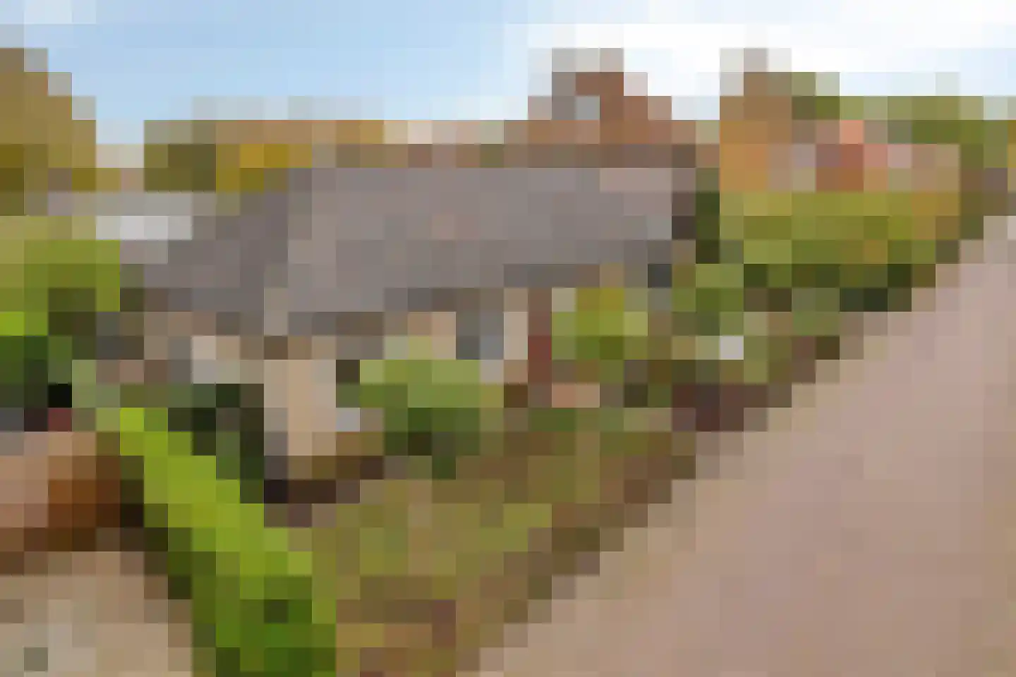 Vrije 44 Zierikzee foto 3