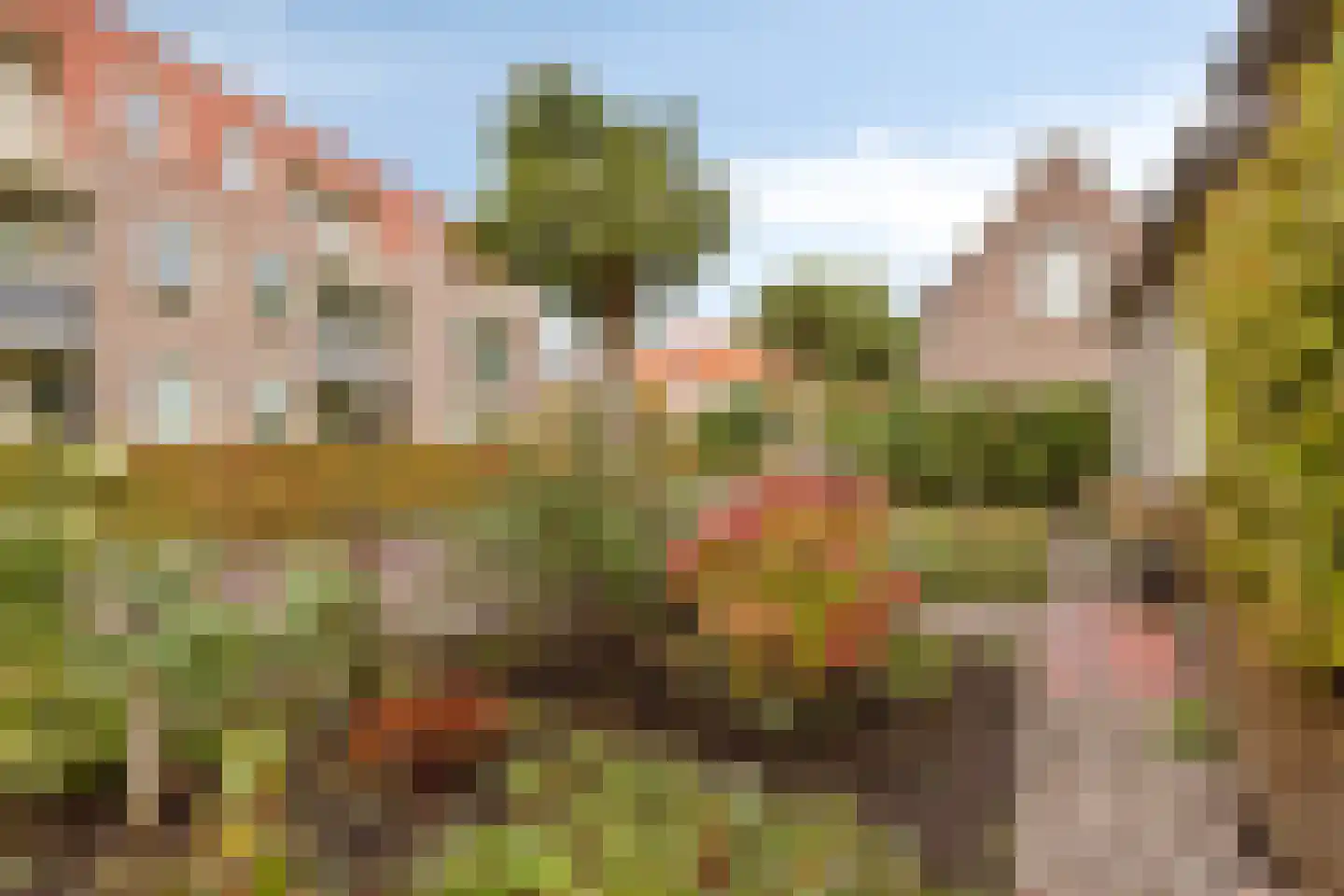 Vrije 44 Zierikzee thumbnail 33