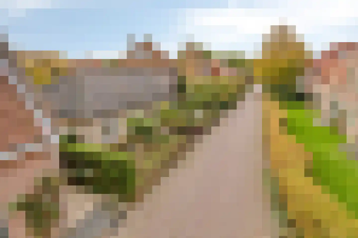 Vrije 44 Zierikzee thumbnail 34