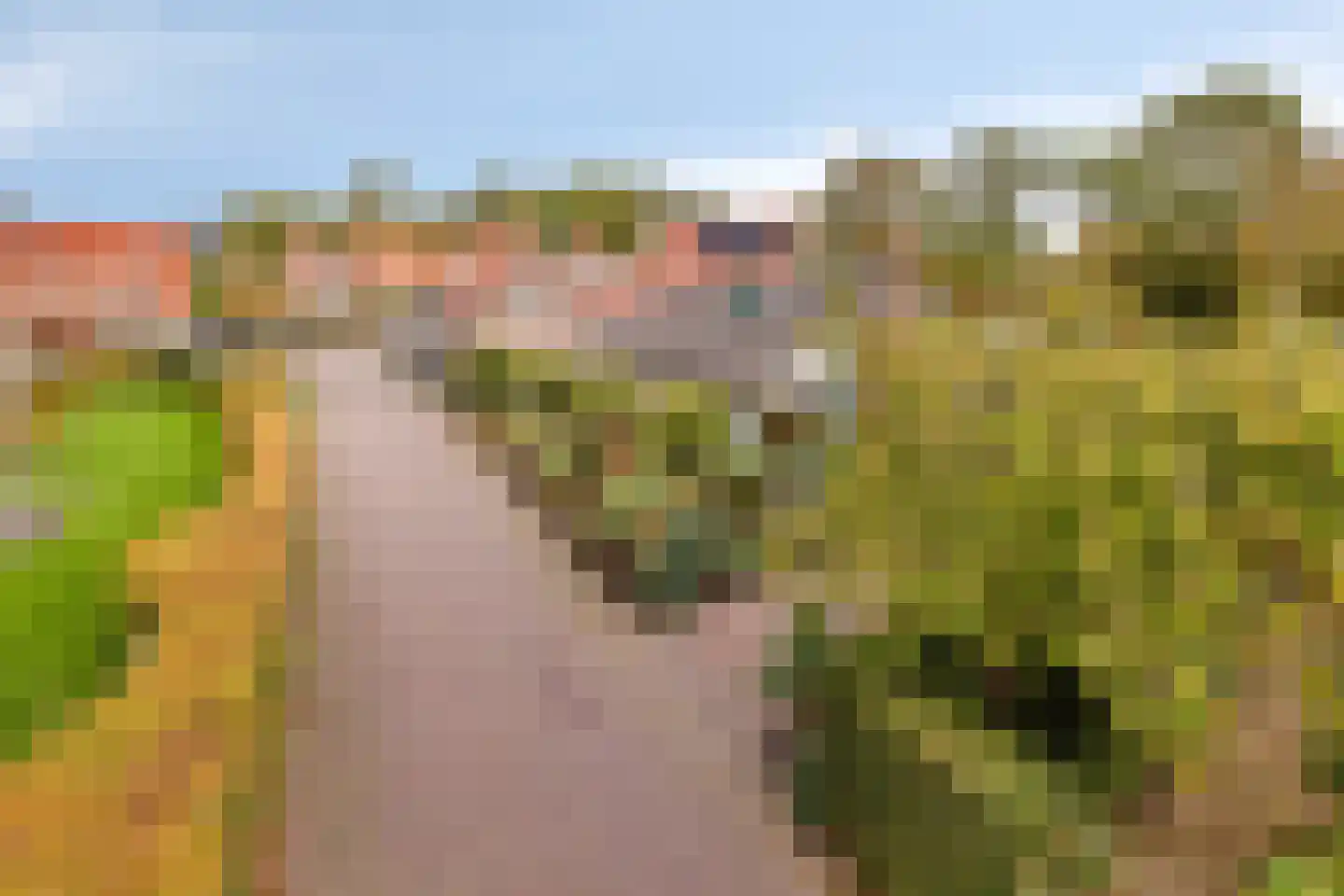 Vrije 44 Zierikzee thumbnail 35