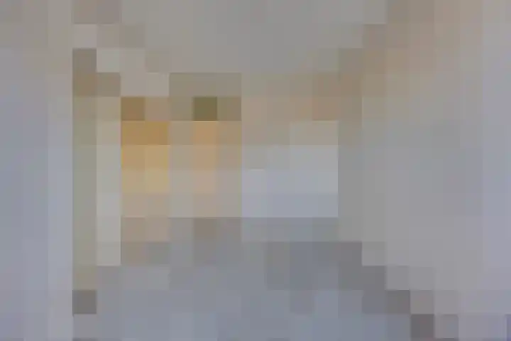 Vrije Geer 15 Amsterdam thumbnail 16