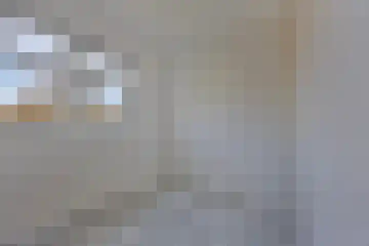 Vrije Geer 15 Amsterdam thumbnail 17