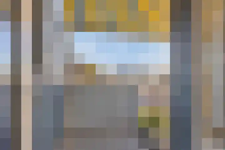 Vrije Geer 15 Amsterdam thumbnail 19