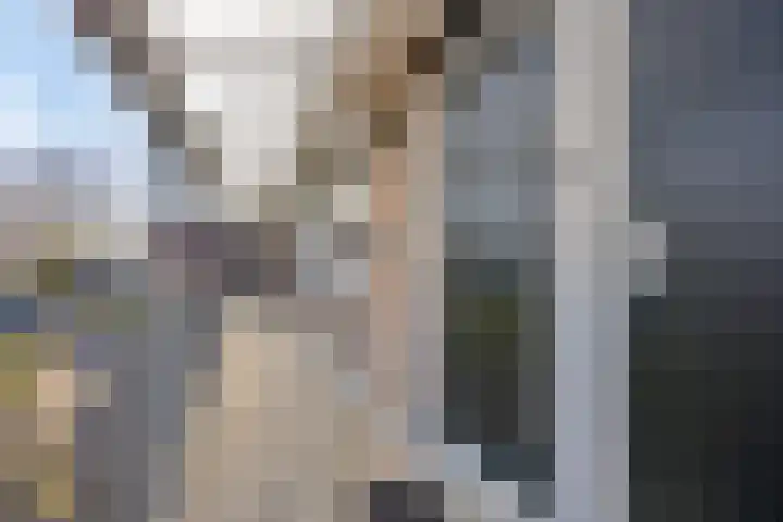 Vrije Geer 15 Amsterdam thumbnail 4