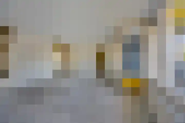 Vrije Geer 15 Amsterdam thumbnail 7