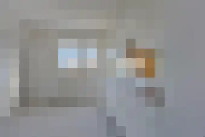 Vrije Geer 15 Amsterdam thumbnail 8