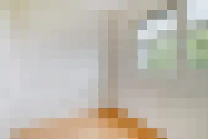 Vrije Geer 21 Amsterdam thumbnail 11