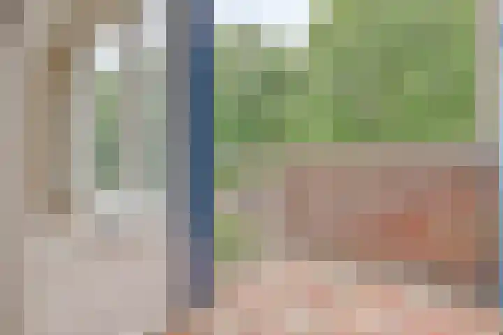 Vrije Geer 21 Amsterdam thumbnail 19