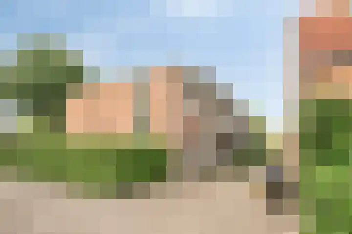 Vrije Geer 21 Amsterdam thumbnail 21