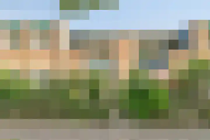 Vrije Geer 21 Amsterdam thumbnail 22