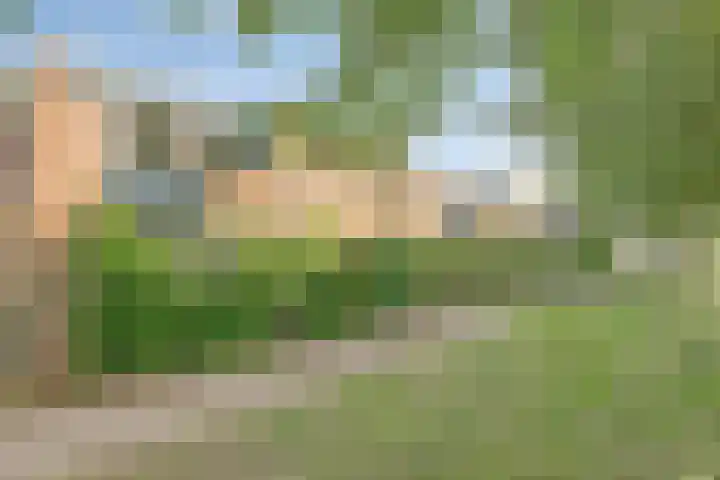 Vrije Geer 21 Amsterdam thumbnail 23