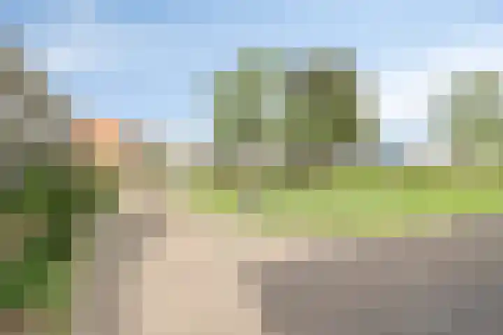 Vrije Geer 21 Amsterdam thumbnail 25