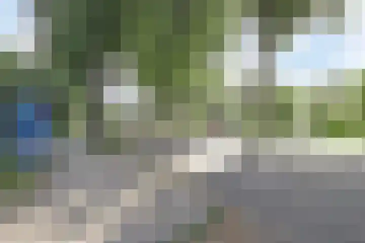 Vrije Geer 21 Amsterdam thumbnail 26
