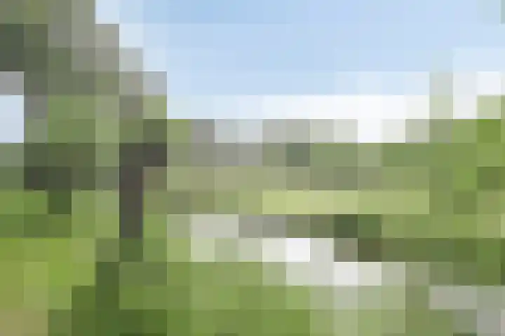 Vrije Geer 21 Amsterdam thumbnail 27