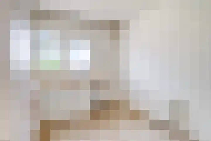 Vrije Geer 21 Amsterdam thumbnail 6